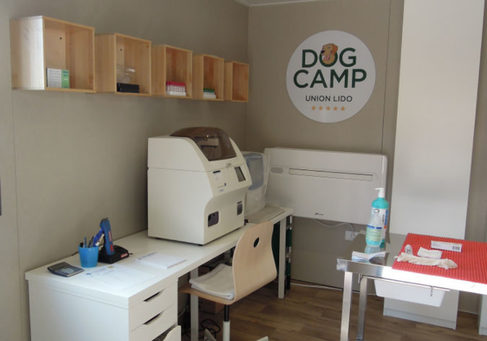 Cadore Lodge - Dog Camp